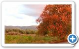 Autumn on Samos