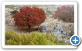 Autumn on Samos