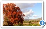 Autumn on Samos