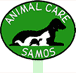 Helping the dogs and cats on Samos.