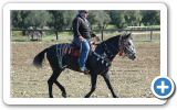 Horse racing track on Samos