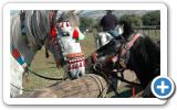 Horse racing track on Samos