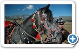 Horse racing track on Samos