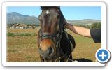 Horse racing track on Samos