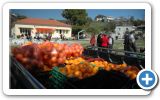 Orange festival in Mili on Samos