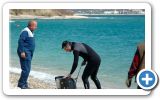 Volunteers from Ireon and Samos-divers team, clean up the beach on this beautiful 24 of March 2013