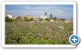 Samos green Island