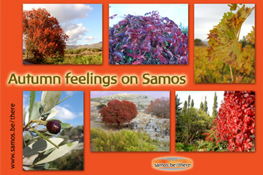 Autumn feelings on Samos