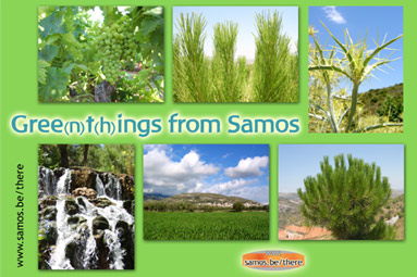 Gree(n)t(h)ings from Samos
