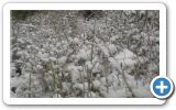 Snow on Samos beaches and roofs