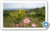 Springtime on Samos