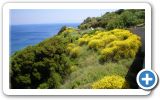 Springtime on Samos