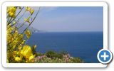 Springtime on Samos